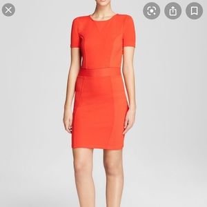 Bodycon Holiday French Connection Dress